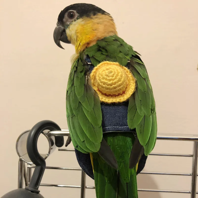 Одежда для подгузников с попугаем и птицей новый тип летающий костюм штаны Macaw