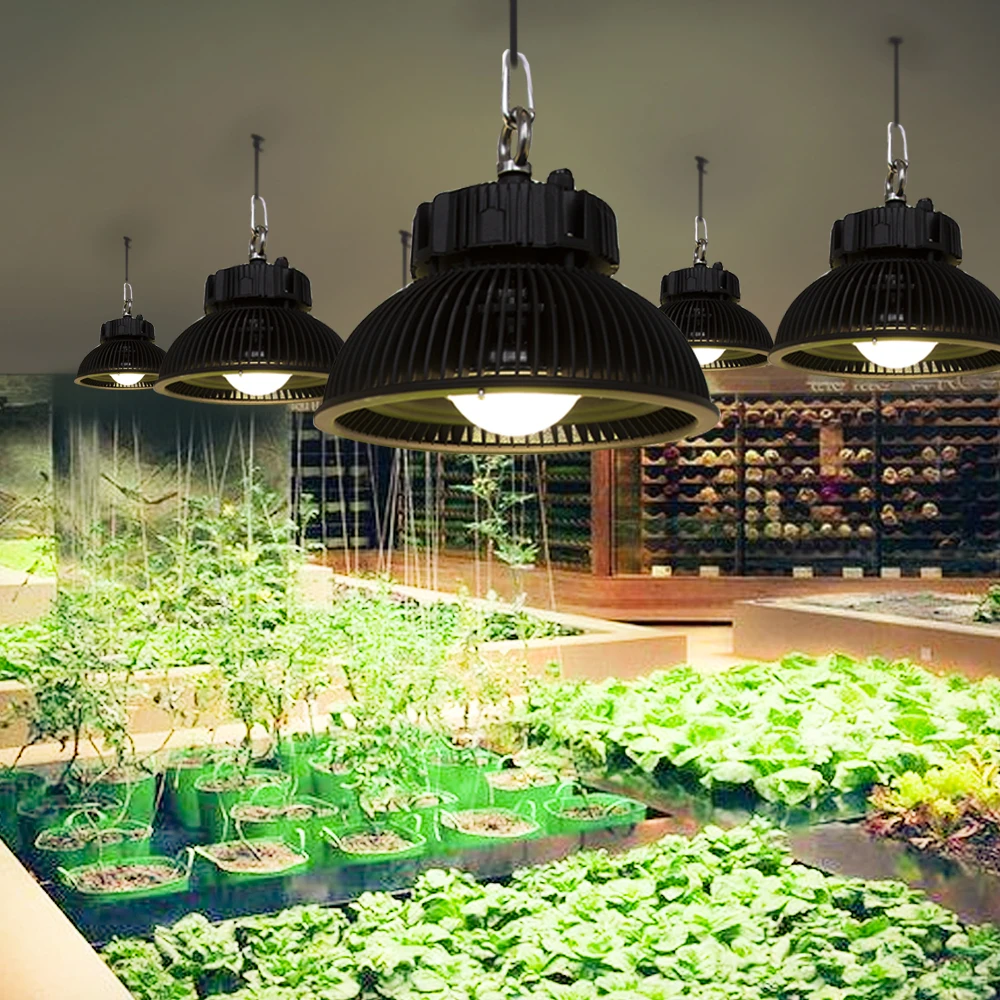 COB светодиодный свет для выращивания 1000 Вт 3500 К Белый полный спектр внутреннего