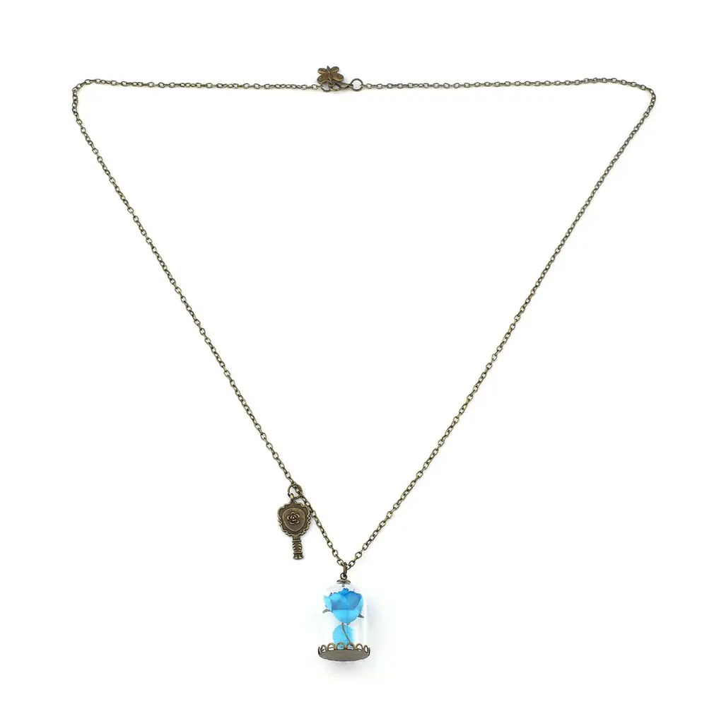 Для женщин Террариум стеклянная бутылка ожерелье романтические сушеные цветы