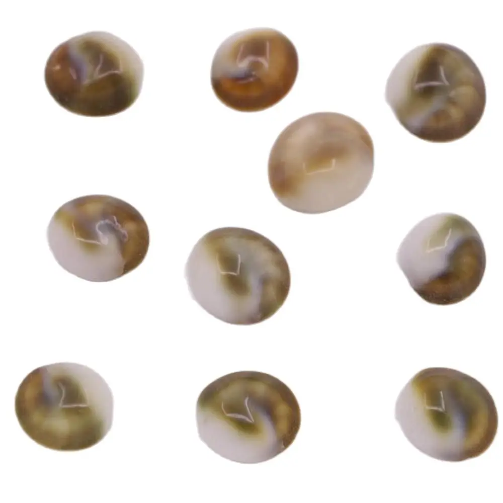 

10 PCS 12mm-16mm Flat Oval Sea Shell Mother of Pearl Loose Beads Jewelry Making