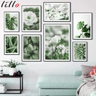 Цветок, белый свежий цветок, Зеленый лист, кактус, скандинавский плакат с растением, настенная Картина на холсте, картина на стену для декора гостиной