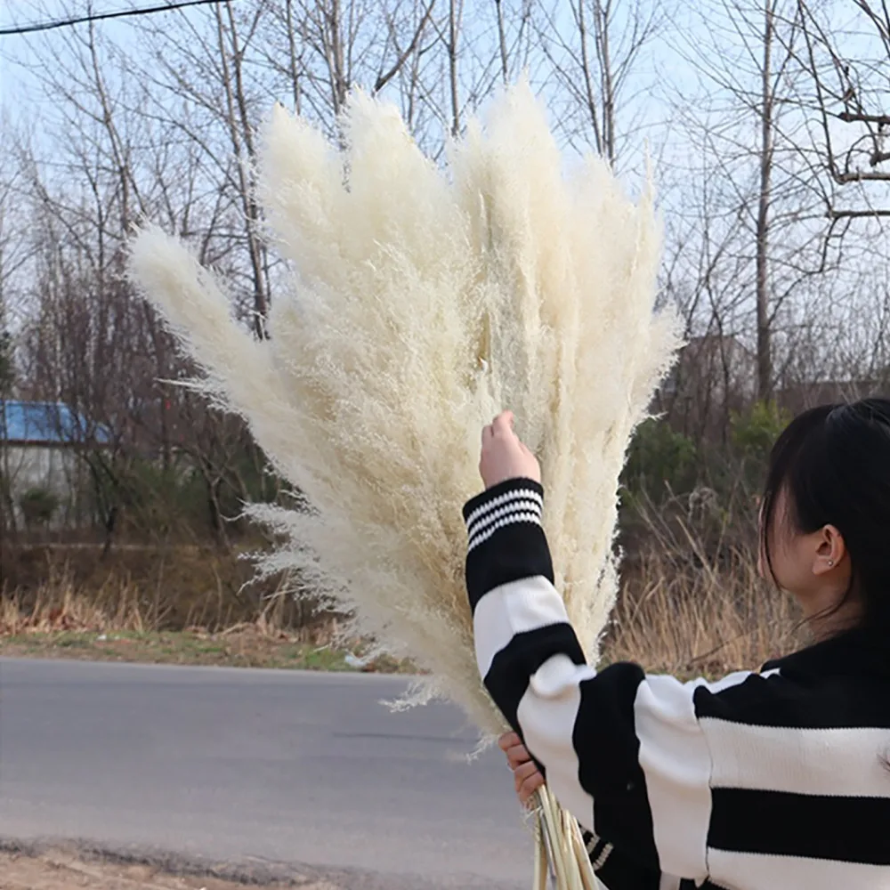 60 см большой тростник пампасная трава для офиса 15 шт. дома пушистые без выпадения