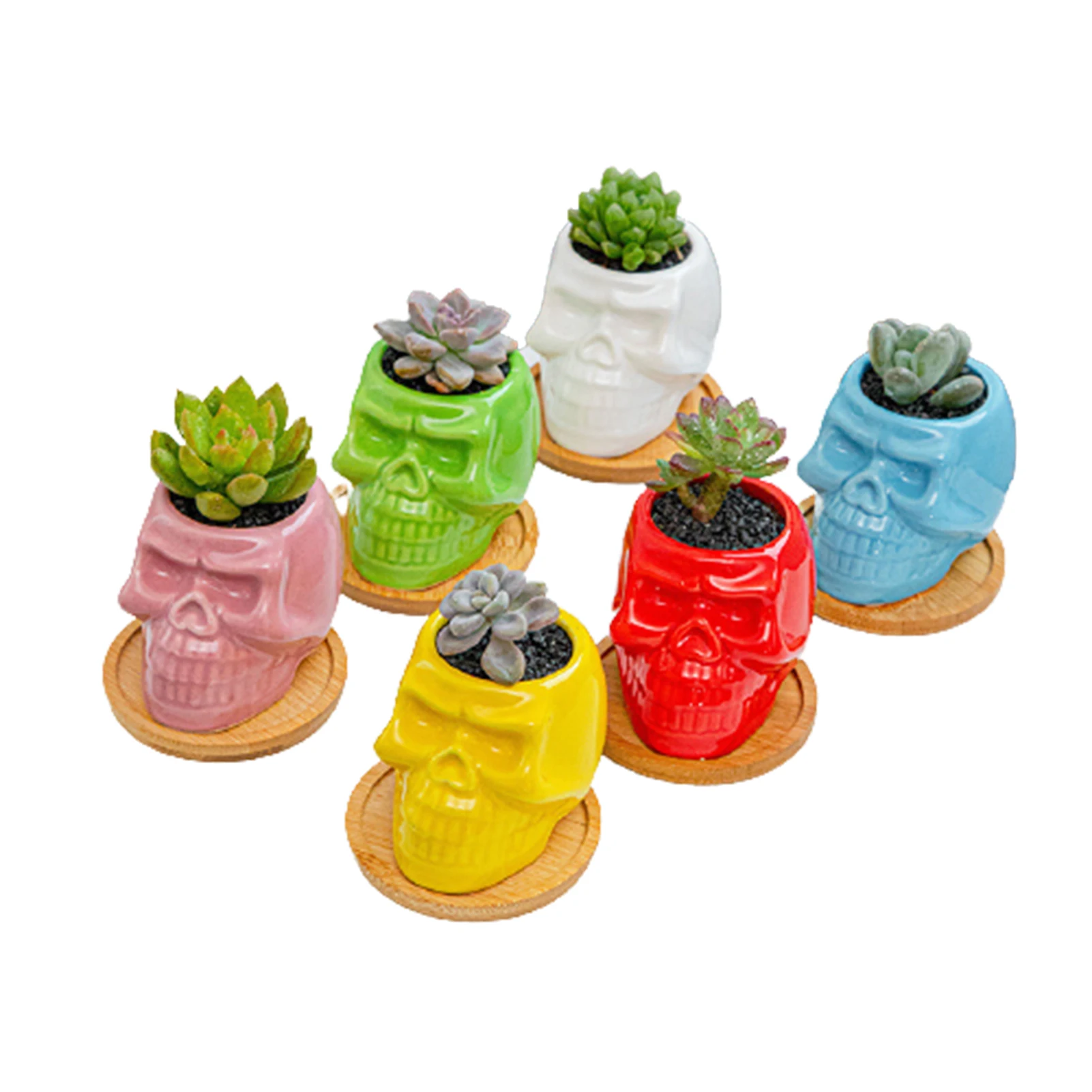 

New 6 Color Skull Flower Pot Ceramic Succulent Gardening Desktop Thumb Flower Pot Breathable Not Easy to Deform