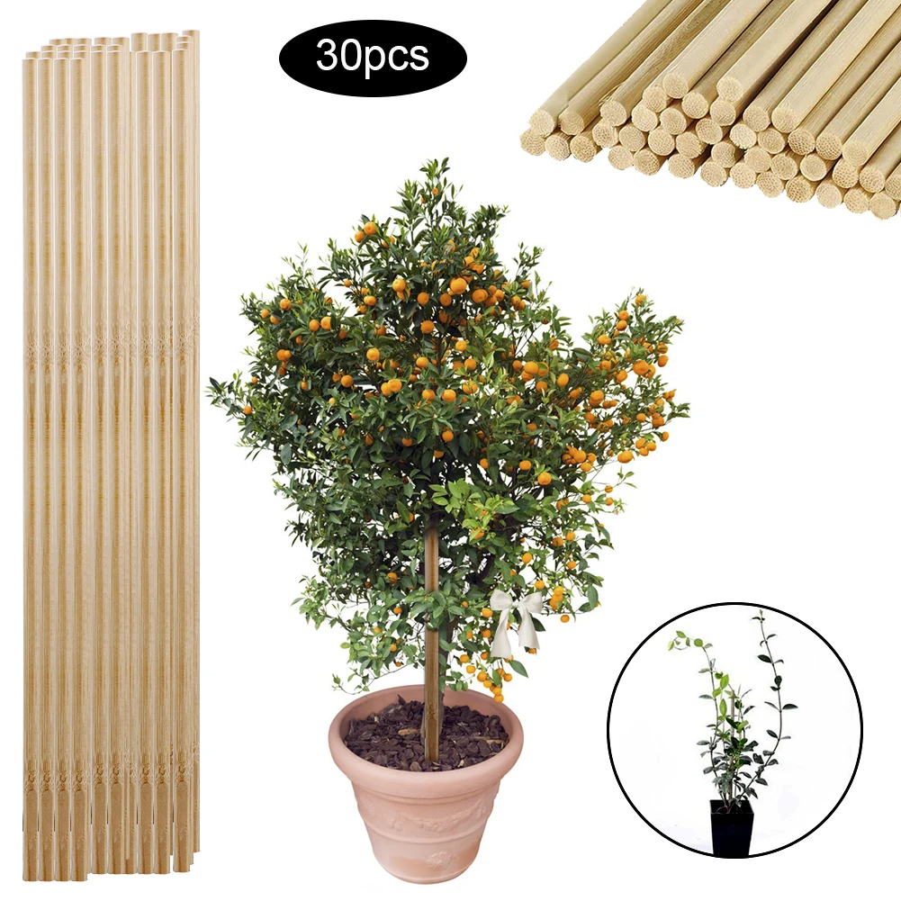 30 шт. деревянные палочки для растений выращивания бамбуковые палки цветов