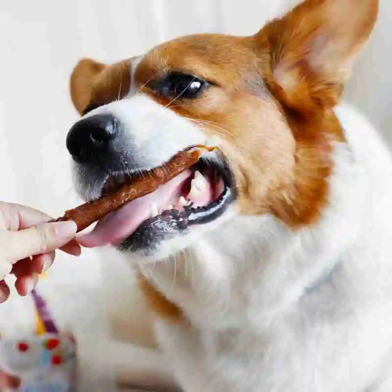 110 г собачья молярная закуска свежая говядина куриная грудь искусственная