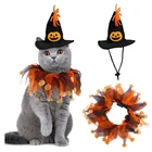 Костюмы для домашних животных, кошка, косплей, тыква, Коллер, шляпа, костюмы для маленьких кошек, забавная праздничная одежда, черный, Хэллоуин, пасхвечерние ный подарок