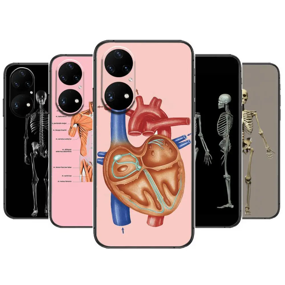 

Human Anatomy Medical Phone Case For Huawei p50 P40 p30 P20 10 9 8 Lite E Pro Plus Black Etui Coque Painting Hoesjes comic fas