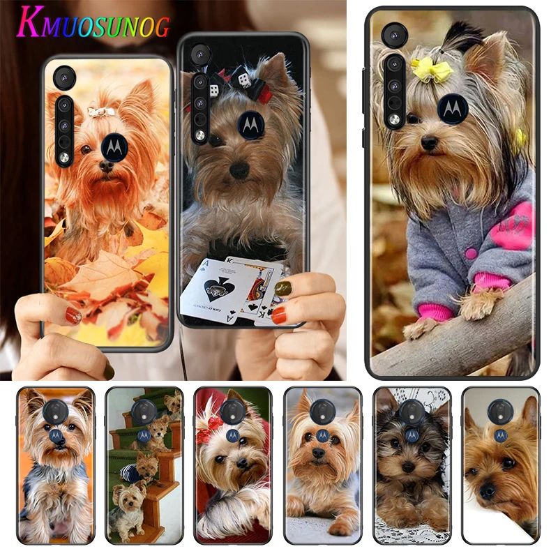 

Yorkshire Terrier Dog For Motorola G9 G8 G Stylus Power One Fusion Hyper Edge E7 E6 E6S 5G Plus Play Lite Phone Case