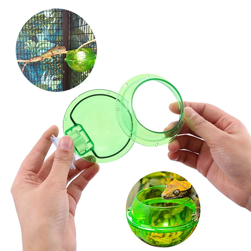 Reptile Water Bowl Worm Dish Suction Cup Reptile Feeder 2