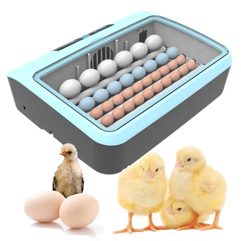 

Домашний инкубатор для яиц на 12-24 яиц, двойной мощный инкубатор, умный инкубатор для яиц с автоматическим поворотом, инкубатор для птиц, уток...