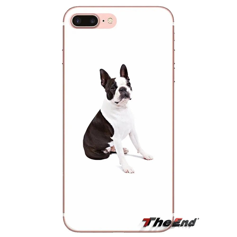 Бостон-терьер с изображением щенков милые носки для iPhone XS Max XR X 4 4S 5 5S 5C SE 6 6S 7 8 плюс