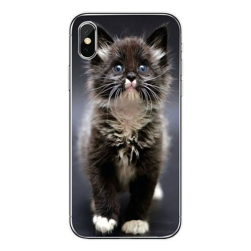 A с милым рисунком кота чехол для iphone 5s 5 s se 4 4s кейс телефона из мягкого ТПУ в виде