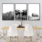 Сельскохозяйственных животных корова черный, белый цвет фотографии Плакаты и принты сарай сена настенный художественный холст картины кухонное украшение для дома