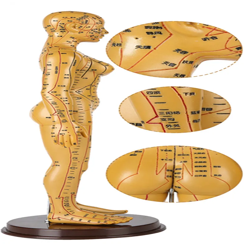 2020 новая модель акупунктуры человека меридиан акупунктура TCM тело бронзового