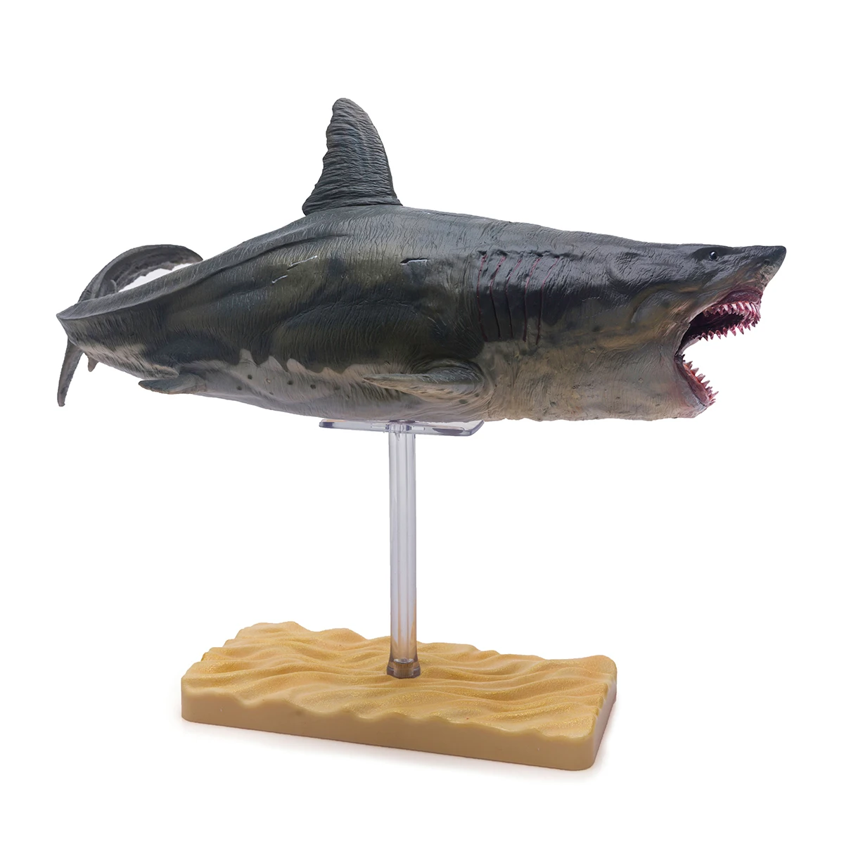 PNSO доисторические модели животных: Patton The Megalodon (большая белая акула) 13 &quotдревний
