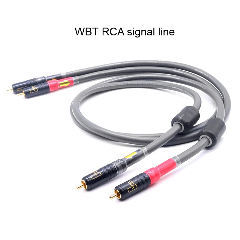 Однокристальный медный усилитель звука горячей температуры DIYLIVE M850SW аудиошнур RCA