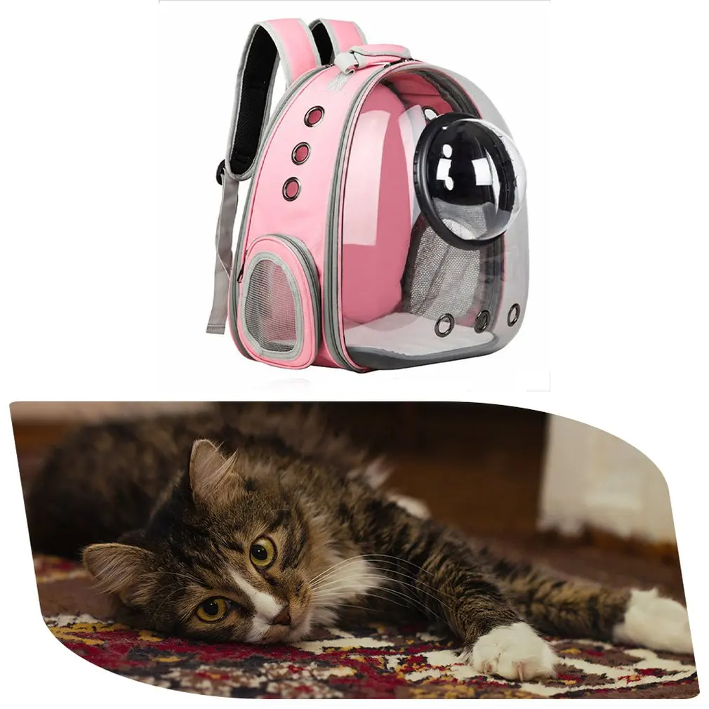 

Absolutely All Transparent Space Little Cat Backpack Mobile Cute Home For Small Cat Playing Outdoor Protect The Pet