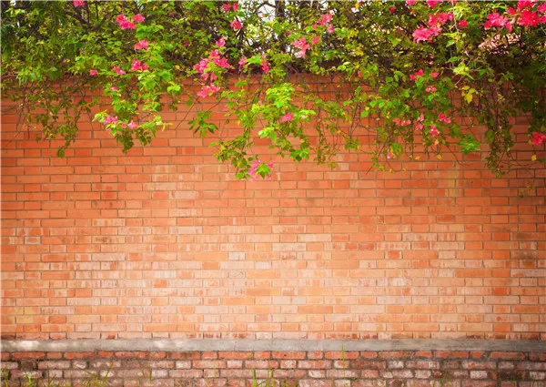 

Vinyl Custom Photography Backdrops Props Brick Wall theme Photo Studio Background 20026-01