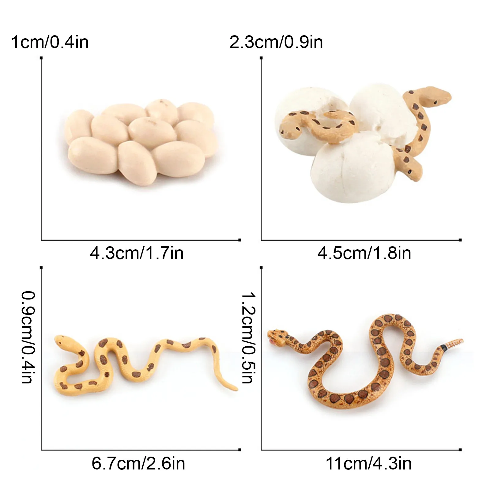 

2021 Toys For Children Simulation Snake Growth Life Cycle Playset Educational Classroom Toys Funny Gifts #