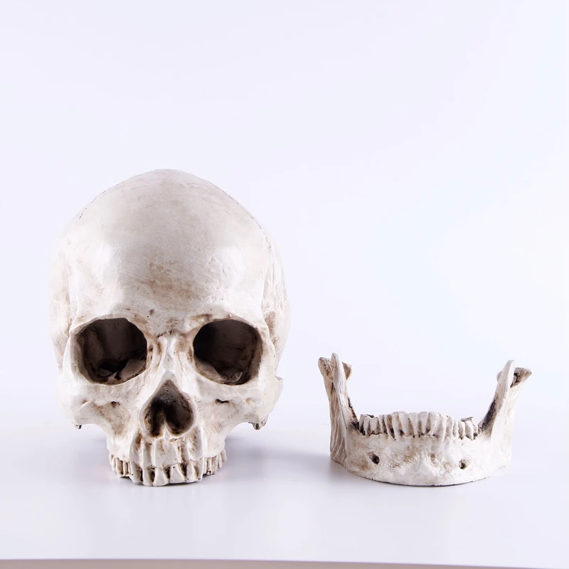 1:1 Skeleton Skull Model Sculpture Ornaments Pattern Resin Crafts Teaching Home Bar Death Symbol Art Decoration | Дом и сад