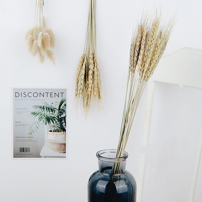 

15Pcs Pure Rabbit Tail Grass Wheat Ear Bouquet Natural Dried Flowers Home Decor Wedding Accessories Party Decoration