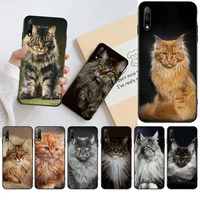 pet maine coon cat cover black soft shell phone case for huawei honor 30 20 10 9 8 8x 8c v30 lite view pro
