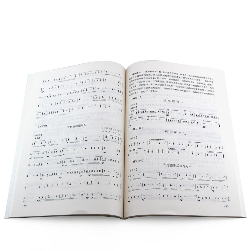 Учебник для начинающих с подлинной бамбуковой канавкой базовый учебник Dizi