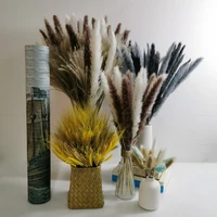 wedding pampas grass decoration feather bouquet natural dried flowers real plants holiday room decor company hotel decoration