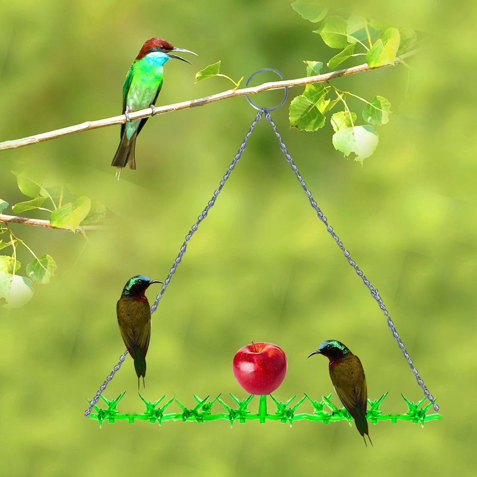 

New Product Small Bird Feeder Outdoor Hanging Plastic Hanging Fruit Oriole Hummingbird Bird Feeder Home Decor Bird Supplier