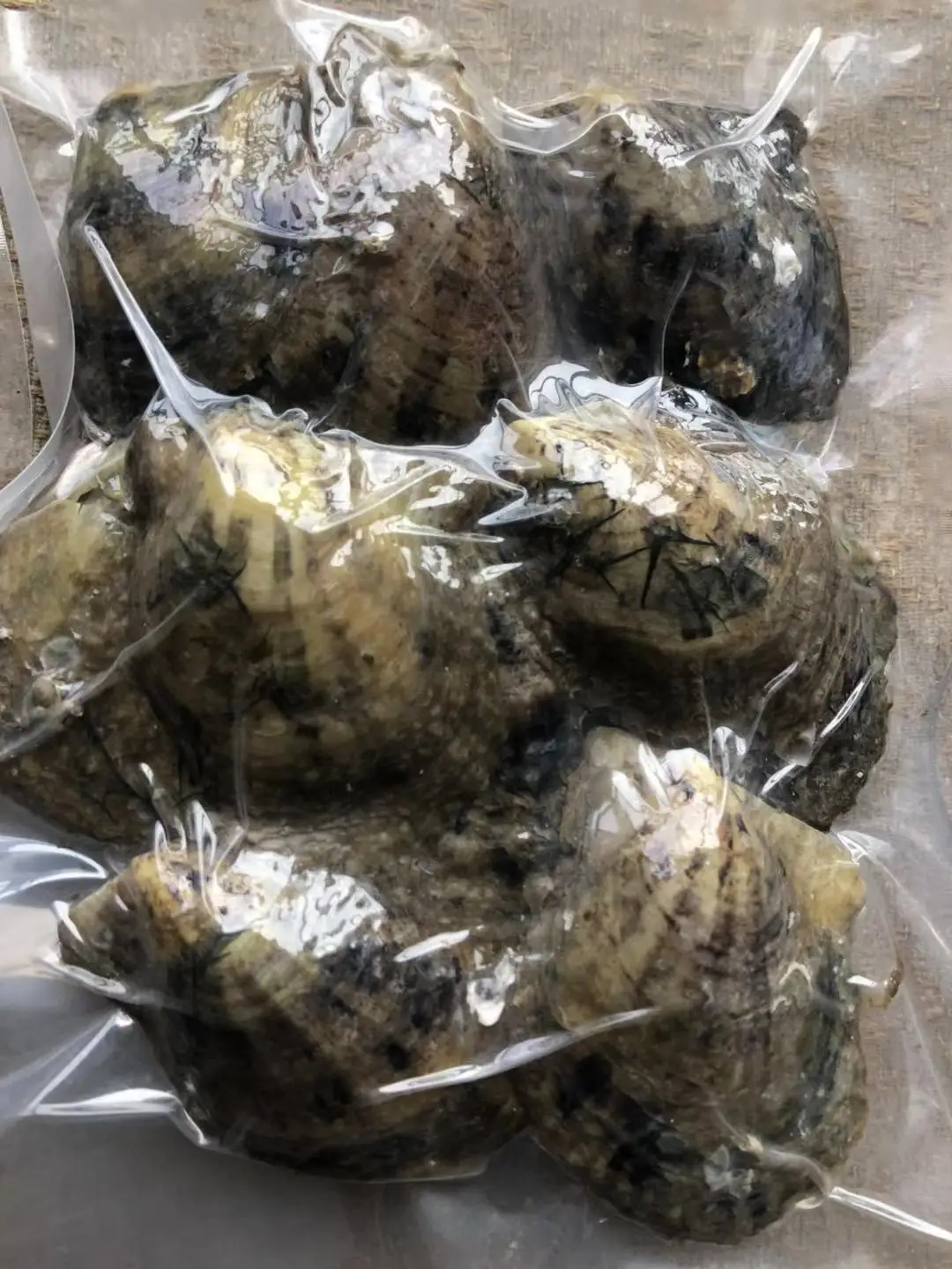 10 устриц сумка! Akoya Oyster с круглой жемчужиной внутри, одинарный жемчуг Oyster 6-8 мм Жемчуг в оболочке Oyster Mix Красный Зеленый Фиолетовый PB108 - Цвет: 10 Akoya Oysters