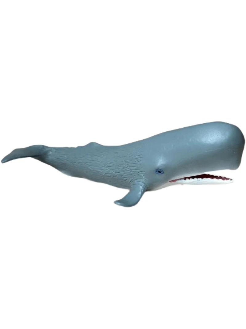 Genuine U.S. Safars SEA LIFE Simulation Marine Life Sperm Whale Model Toy Figure Model images - 6