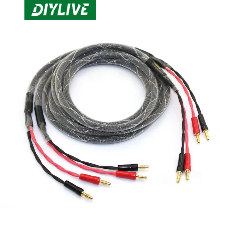 DIYLIVE-cable de altavoz HIFI de cobre puro, cable envolvente frontal, cable de...