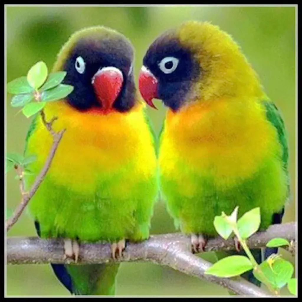 

NEW 5D DIY All-Diamond Paintings Custom Photo Animals Two Parrots Cross Sticker Diamond Sticker Art Home Decor Wall Sticker Gift