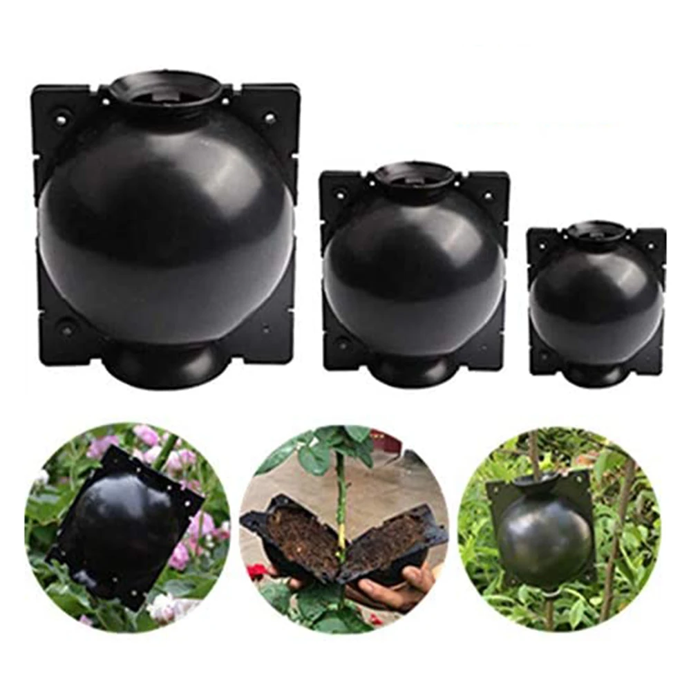 

6 Pcs Plant Rooting Equipment High Pressure Propagation Ball Growing Box Breeding Case For Garden Graft Box Sapling