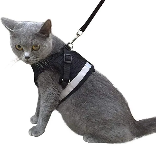 black Cat Harness And Leash Set Adjustable Reflective Cat Harness Soft Padded Jacket Chihuahua Dog Harness Vest - Цвет: black