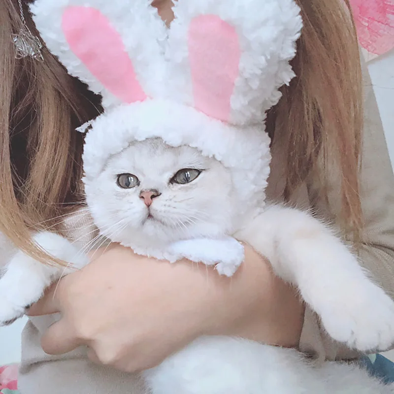 

Funny Pet Dog Cat Cap Costume Warm Rabbit Hat New Year Party Christmas Cosplay Accessories Photo Props Headwear Cat Costumes