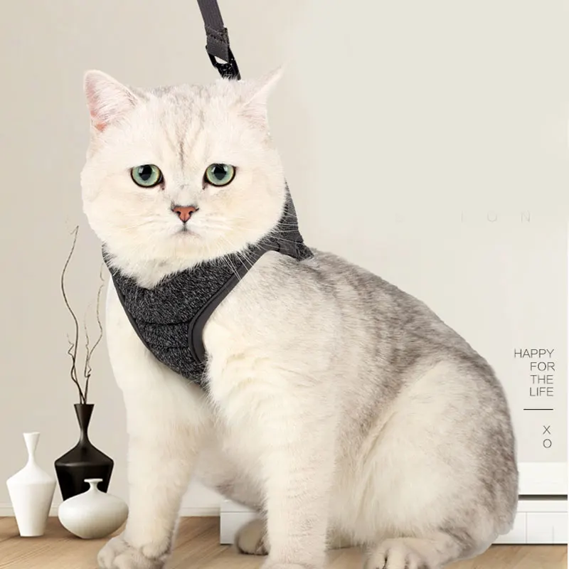 

High Escape Proof Cat Vest Harness and Leash Set Leads for Small Medium Large Cat UEJ