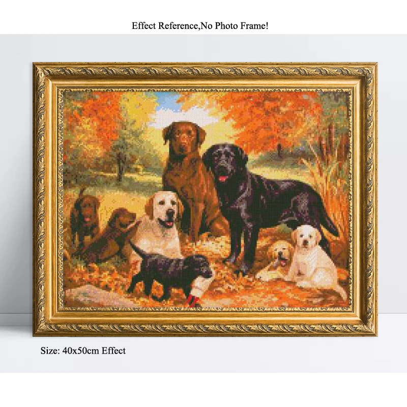 Новинка! Полный дрель 5D Алмазная мозаика алмаз живопись Вышивка diamond Книги по