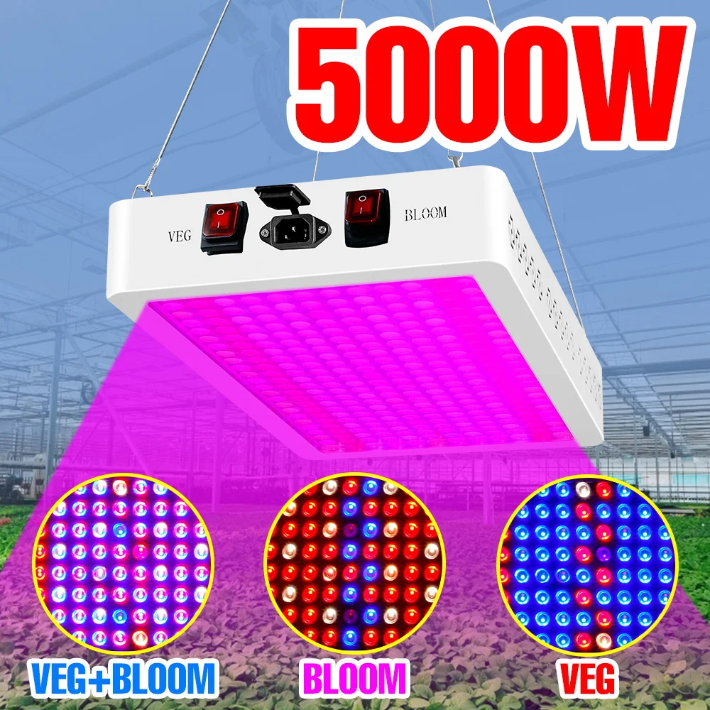 220V LED Grow Phyto Light Full Spectrum Plant Lamp Hydroponic LED Growth Lights 2000W 3000W 4000W 5000W For Greenhouse Phytolamp