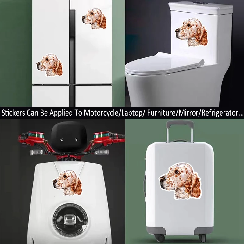 S40213# Печатный самоклеющийся наклейки на авто Английский сеттер