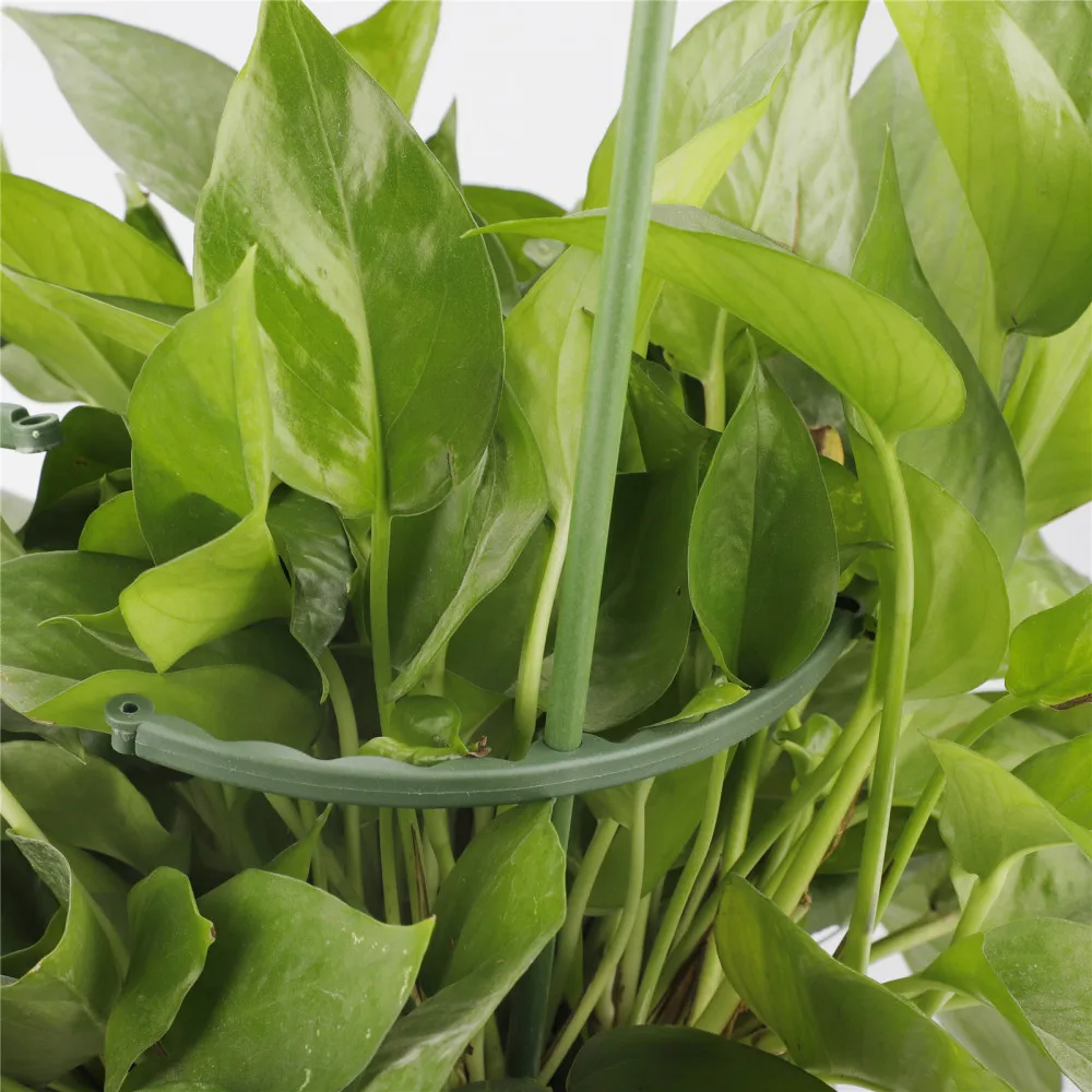 Рама для растений легкая в установке многоразовая двухслойная Съемная