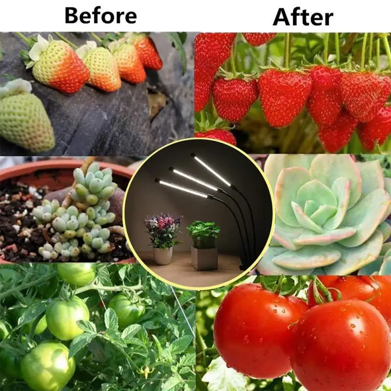 

1Pc Solar Plant Lamp Belt 5V Plant Growth Lamp 2835 Lamp Bead Growth Lamp Strip Full Spectrum Plant Lamp Silicon Solar Panel