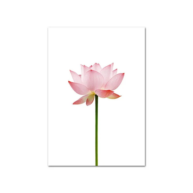 

Pink Pineapple Rose Lotus Flower Wall Poster Nordic Botanical Floral Print Scandinavian Canvas Painting Contemporary Art Picture