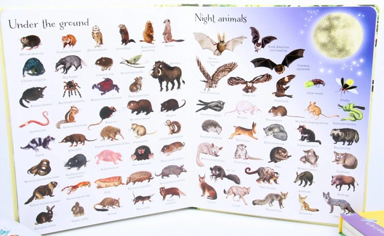 Usborne 1000 животных/под водой английская еда доска для изучения слов книга