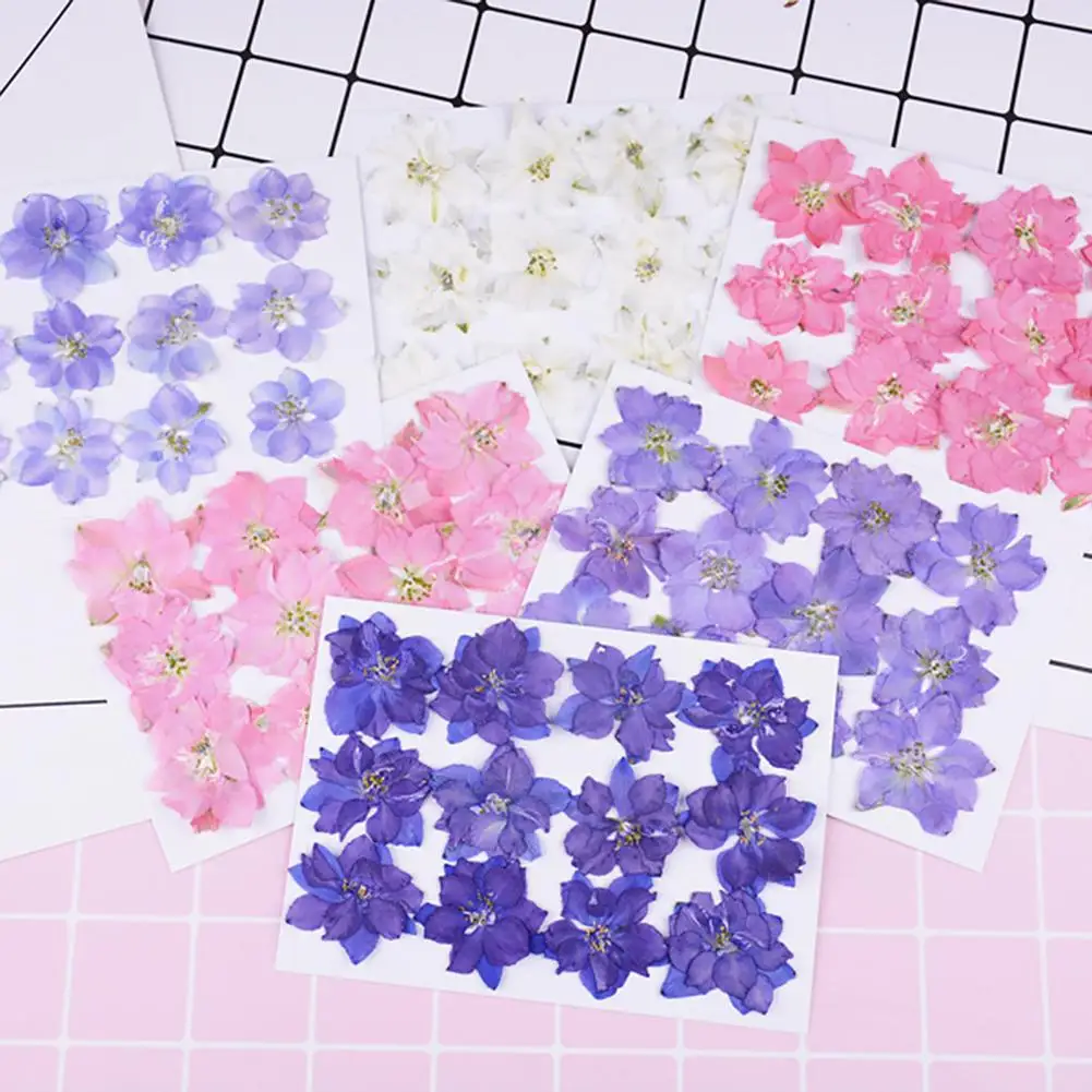 

12Pcs Pressed Dried DIY Accessories Flower Plant Epoxy Resin Card Phone Bookmark