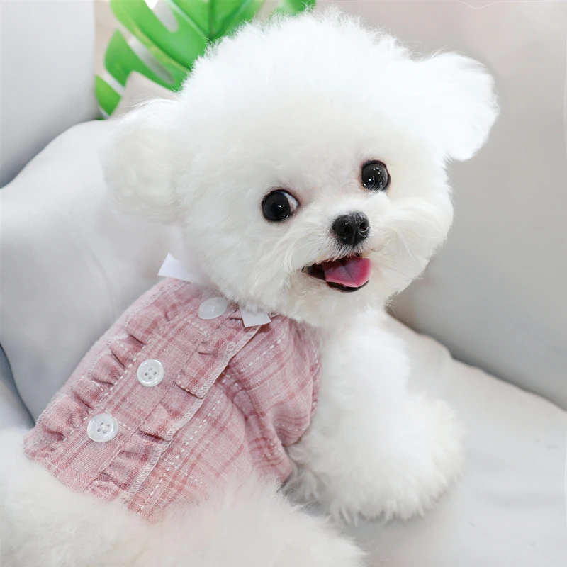 

Летние костюмы для собак, жилет и юбка, одежда для кошек, чихуахуа, йоркширских собак, щенков, подерганский пудель, Бишон, одежда для маленьки...