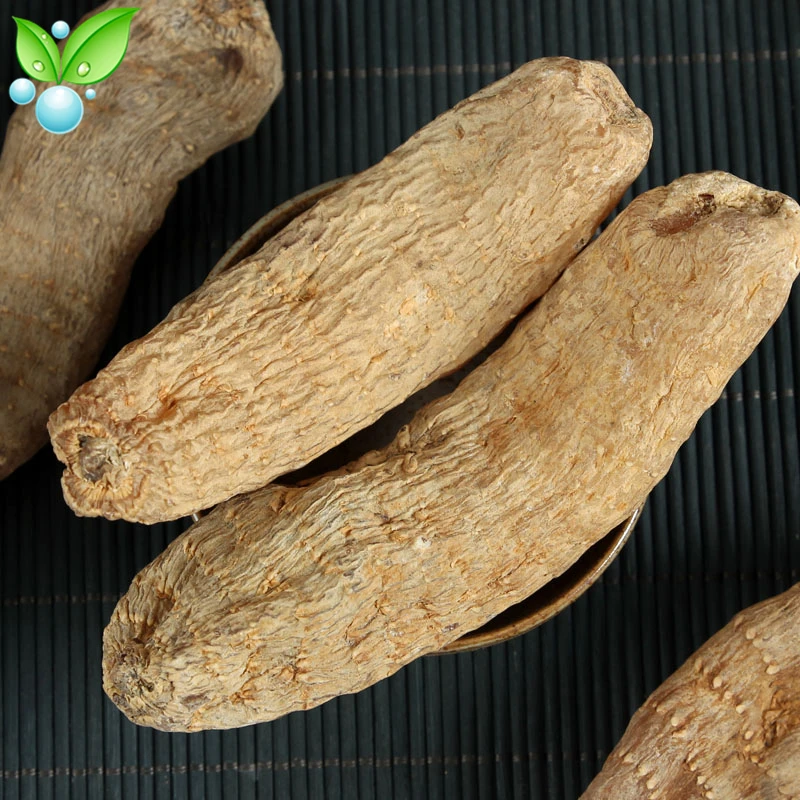 Гастродия естественное солнце гастродия сухой омолаживающий может лечить