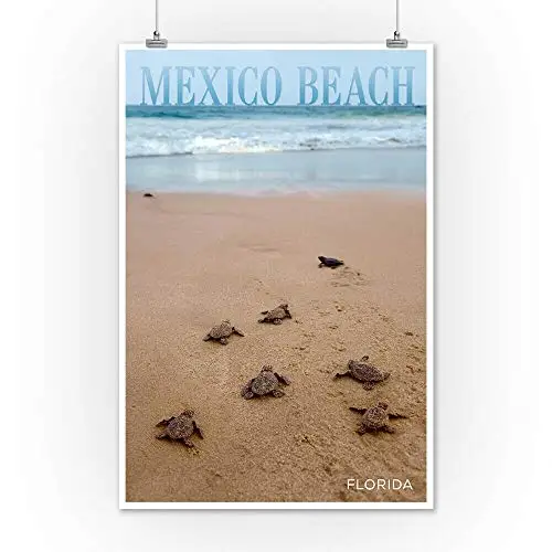 

Sea Turtles Hatching Metal Tin Sign Retor Wall Decor Tin Sign 8x12 Inch