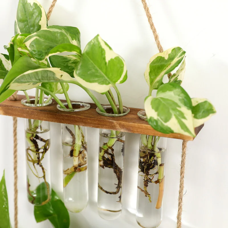 Macetero de vidrio colgante de pared, terrario con soporte de madera para plantas hidrop&oacute;nicas, Mini florero de tubo de ensayo, propagador, decoraci&oacute;n de jard&iacute;n y oficina en casa-4