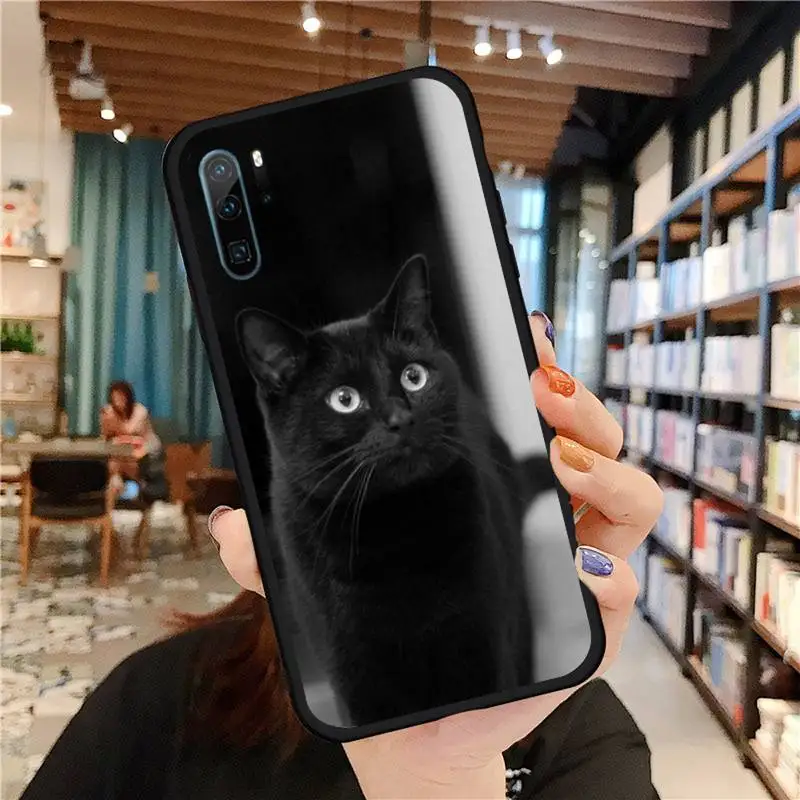 

Black Cat Staring Eye PET CUTE Phone Case For Huawei honor Mate P 9 10 20 30 40 Pro 10i 7 8 a x Lite nova 5t Shell Cover Funda